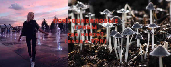 мяу мяу кристалл Иннополис