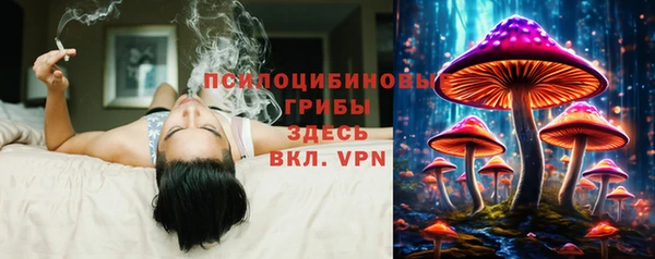 МДМА Инсар