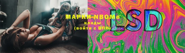 a pvp Инта